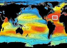 Global salinity map