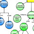 Digital concept map created in the COSEE Concept Map Builder