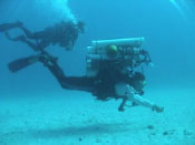 Emmanuel Boss on a diving expedition
