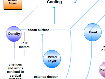 Concept map