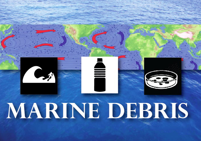 Marine debris image