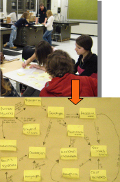 Students create group concept maps during a unit on genetics as a formative assessment