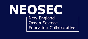 NEOSEC logo