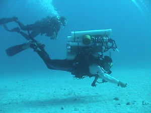 Undersea divers